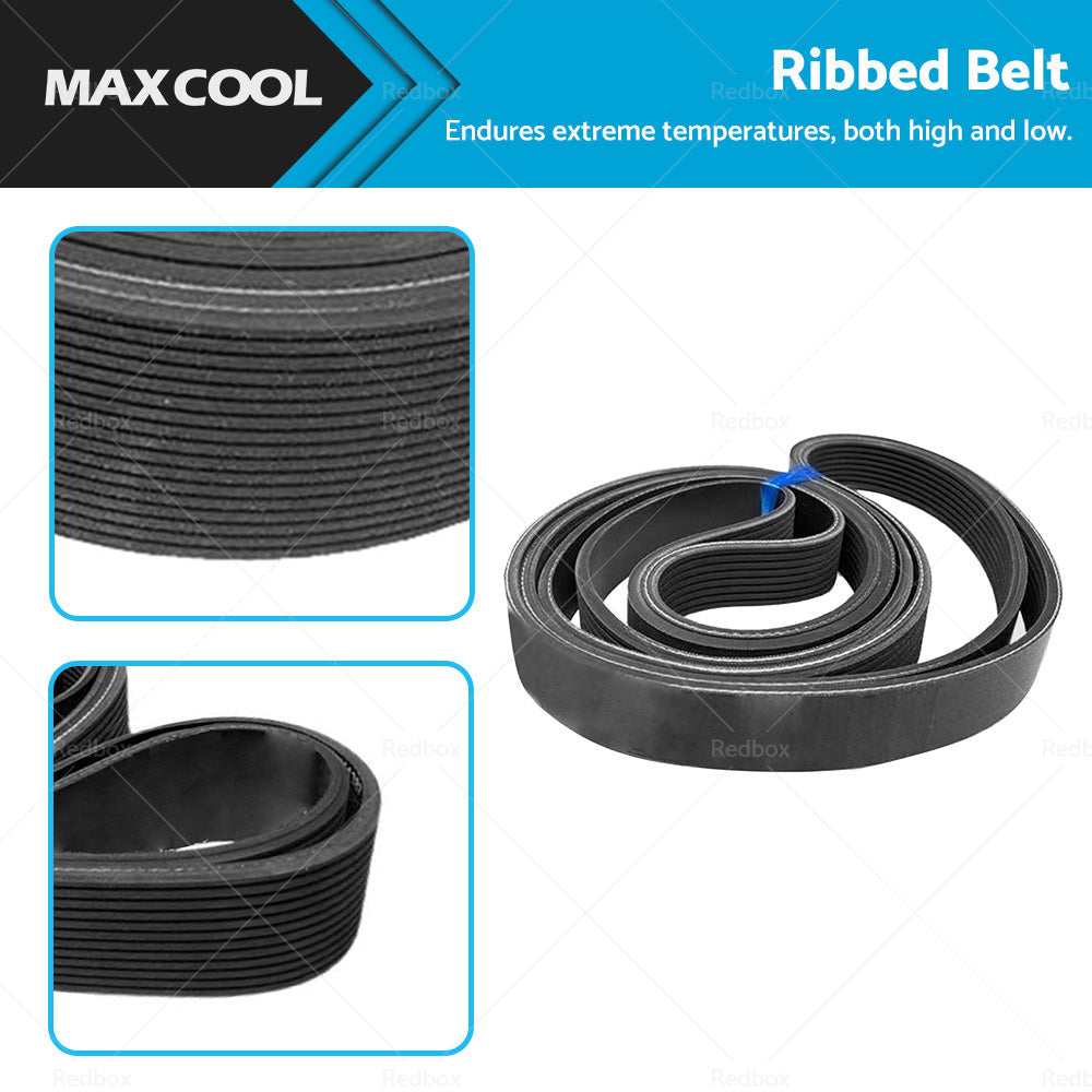 Ribbed Belt for Honda Integra 2.0 DC5 2001-2006 Nissan Murano 3.5 4x4 2003-2007